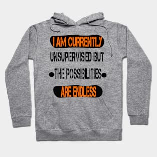 I Am Currently Unsupervised Possibilities are Endless Hoodie